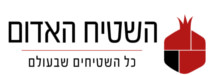 השטיח האדום - ייבוא שטיחים בע"מ